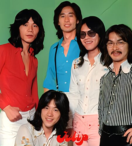 チューリップのBIOGRAPHY（来歴）